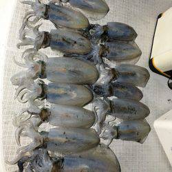 オーシャンズ 釣果