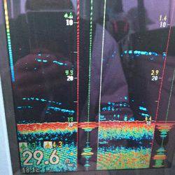遊漁船ブルーウッズ 釣果