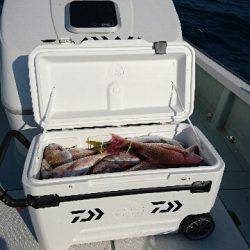 遊漁船ブルーウッズ 釣果