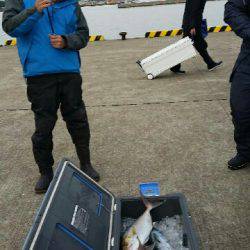 第五慶門丸 釣果