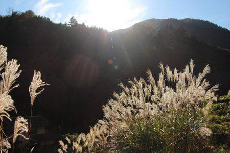 小菅トラウトガーデン 釣果