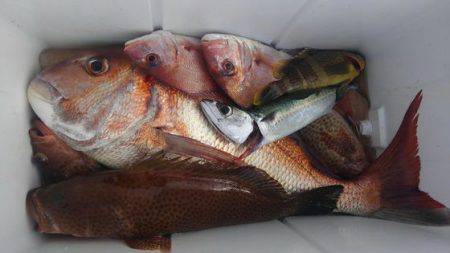 遊漁船 新鋭丸 釣果