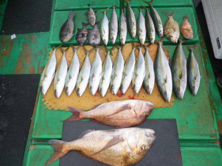 真祐丸 （しんゆうまる） 釣果