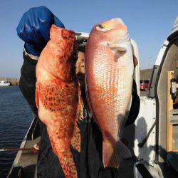 大進丸(新潟) 釣果