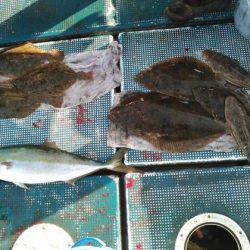 フィッシングガイド りょう 釣果