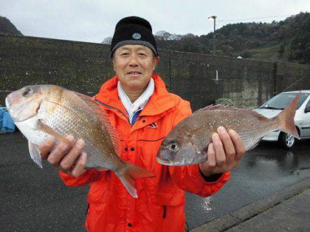大進丸(新潟) 釣果