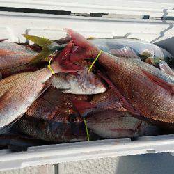 遊漁船ブルーウッズ 釣果