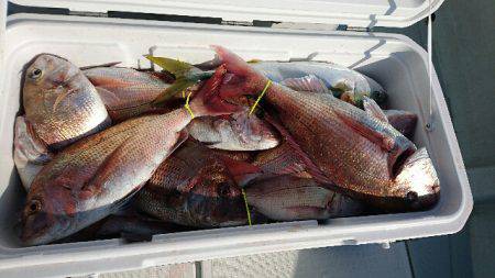 遊漁船ブルーウッズ 釣果