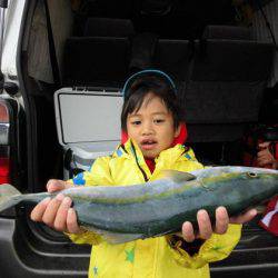 大進丸(新潟) 釣果