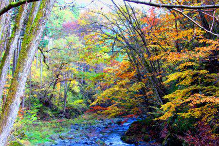 小菅トラウトガーデン 釣果