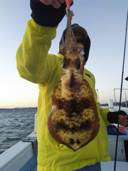 海晴丸 釣果