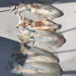 BlueOcean(ブルーオーシャン) 釣果