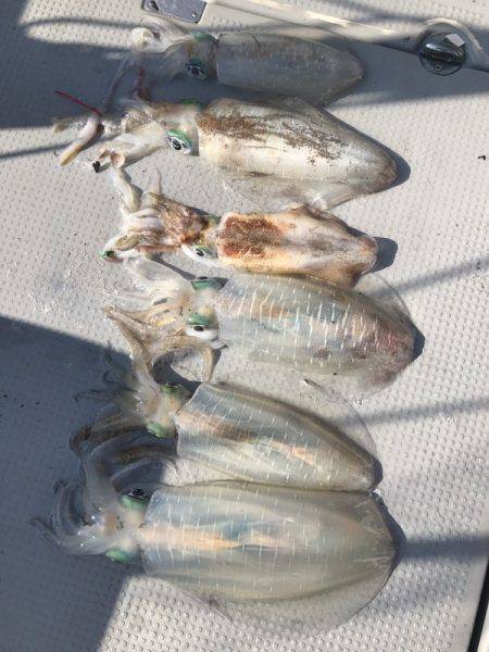 BlueOcean(ブルーオーシャン) 釣果