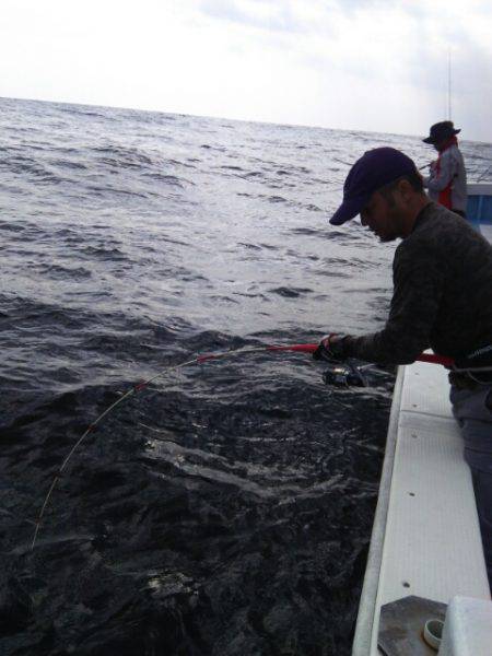 海晴丸 釣果