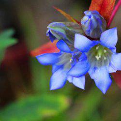 小菅トラウトガーデン 釣果