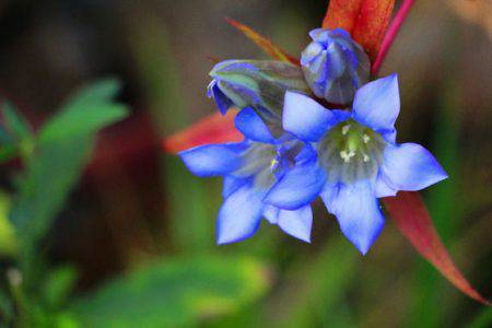 小菅トラウトガーデン 釣果