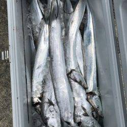 フィッシングガイド りょう 釣果