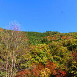 小菅トラウトガーデン 釣果