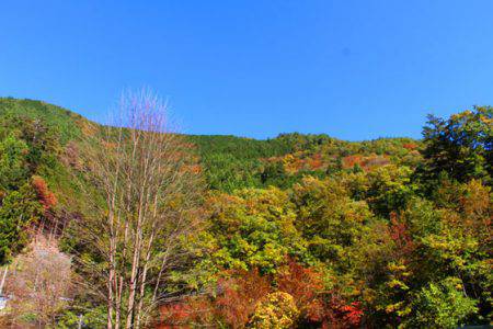 小菅トラウトガーデン 釣果