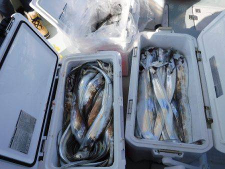 遊漁船 幸友丸 釣果