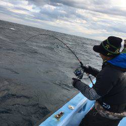 松鶴丸 釣果