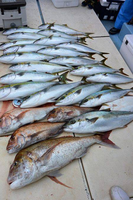 宝生丸 釣果