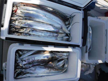 遊漁船 幸友丸 釣果