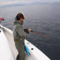 BlueNote Fishing Taxi 釣果