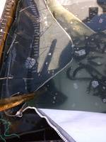 秩父フライフィールド 釣果