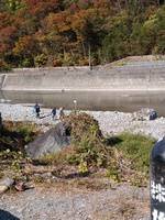 秩父フライフィールド 釣果