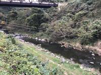 秩父フライフィールド 釣果