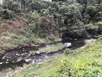 秩父フライフィールド 釣果