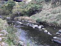 秩父フライフィールド 釣果