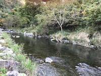 秩父フライフィールド 釣果