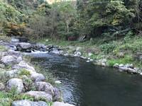 秩父フライフィールド 釣果