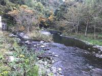秩父フライフィールド 釣果