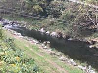 秩父フライフィールド 釣果