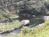 秩父フライフィールド 釣果