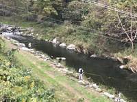 秩父フライフィールド 釣果