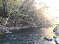 秩父フライフィールド 釣果