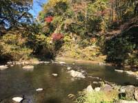 秩父フライフィールド 釣果