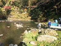 秩父フライフィールド 釣果