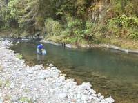 秩父フライフィールド 釣果
