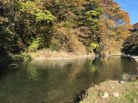 秩父フライフィールド 釣果