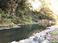 秩父フライフィールド 釣果