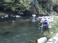 秩父フライフィールド 釣果