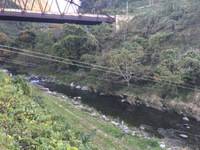 秩父フライフィールド 釣果