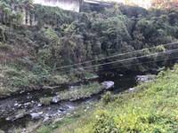 秩父フライフィールド 釣果