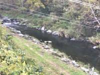 秩父フライフィールド 釣果