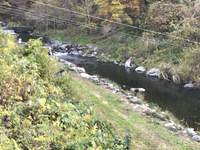 秩父フライフィールド 釣果